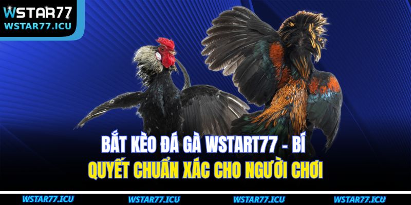 Bắt Kèo Đá Gà WSTART77 – Bí Quyết Chuẩn Xác Cho Người Chơi 1 Bắt Kèo Đá Gà WSTART77