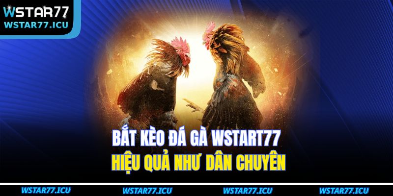 Bắt Kèo Đá Gà WSTART77 – Bí Quyết Chuẩn Xác Cho Người Chơi 4 Bắt kèo đá gà WSTART77 hiệu quả như dân chuyên