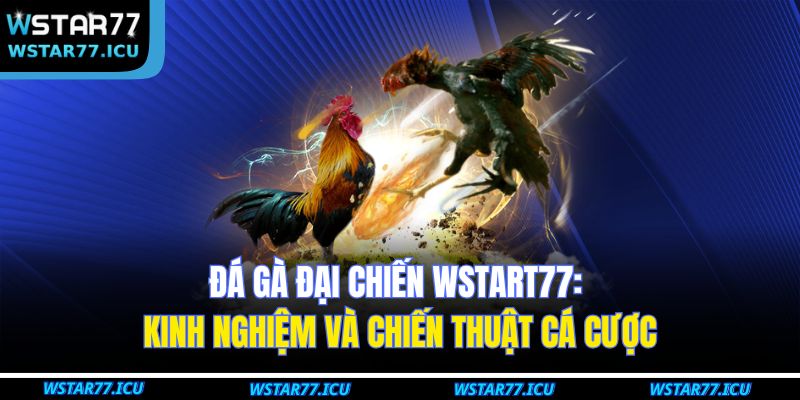Đá Gà Đại Chiến WSTART77: Kinh Nghiệm Và Chiến Thuật Cá Cược 1 Đá Gà Đại Chiến