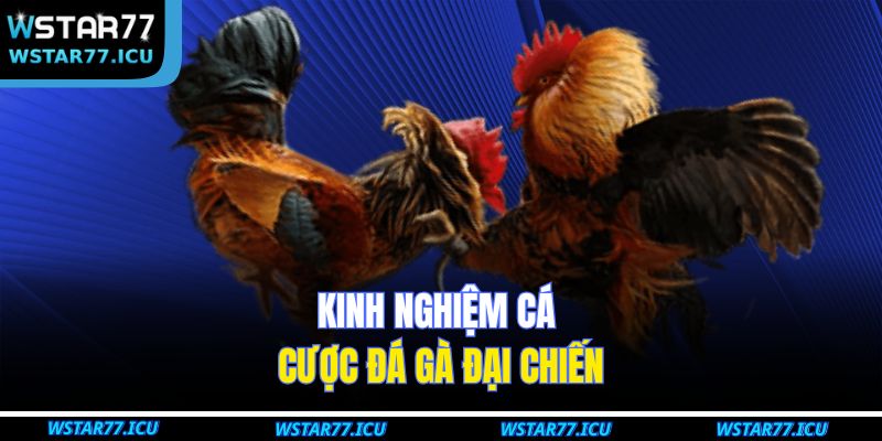 Đá Gà Đại Chiến WSTART77: Kinh Nghiệm Và Chiến Thuật Cá Cược 4 Kinh nghiệm cá cược Đá Gà Đại Chiến