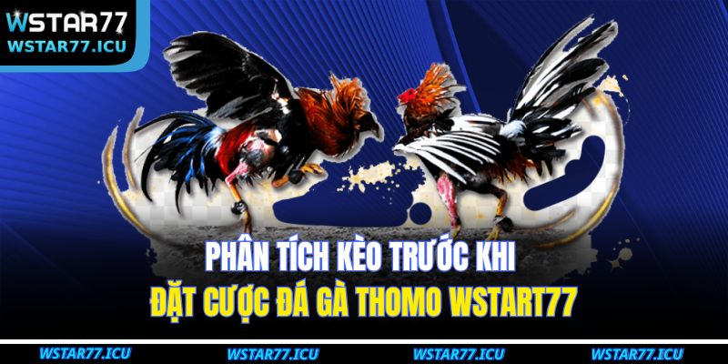 Đá Gà Thomo WSTART77 – Trải Nghiệm Cá Cược Đỉnh Cao 4 Phân tích kèo trước khi đặt cược đá gà Thomo WSTART77