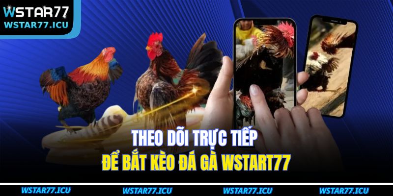 Bắt Kèo Đá Gà WSTART77 – Bí Quyết Chuẩn Xác Cho Người Chơi 2 Theo dõi trực tiếp để bắt kèo đá gà WSTART77