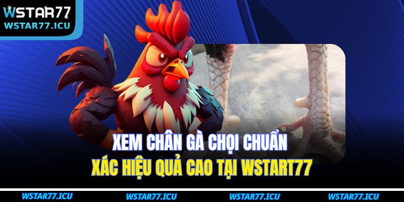 Xem Chân Gà Chọi Chuẩn Xác Hiệu Quả Cao Tại WSTART77 11 Xem Chân Gà Chọi